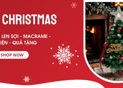 ✨ CHUYỆN NHỎ MÙA LỄ & CÂY THÔNG